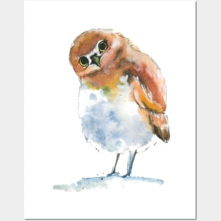 Olllie the Owl Posters and Art